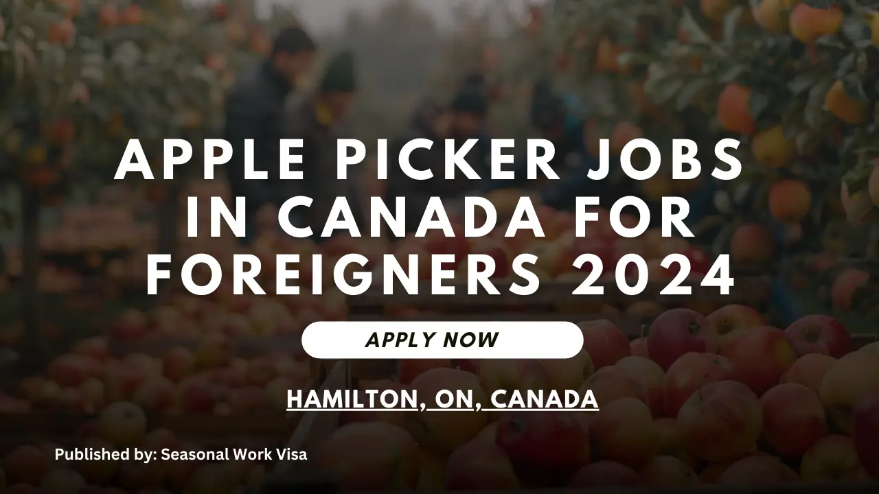 Apple Picker Jobs in Canada